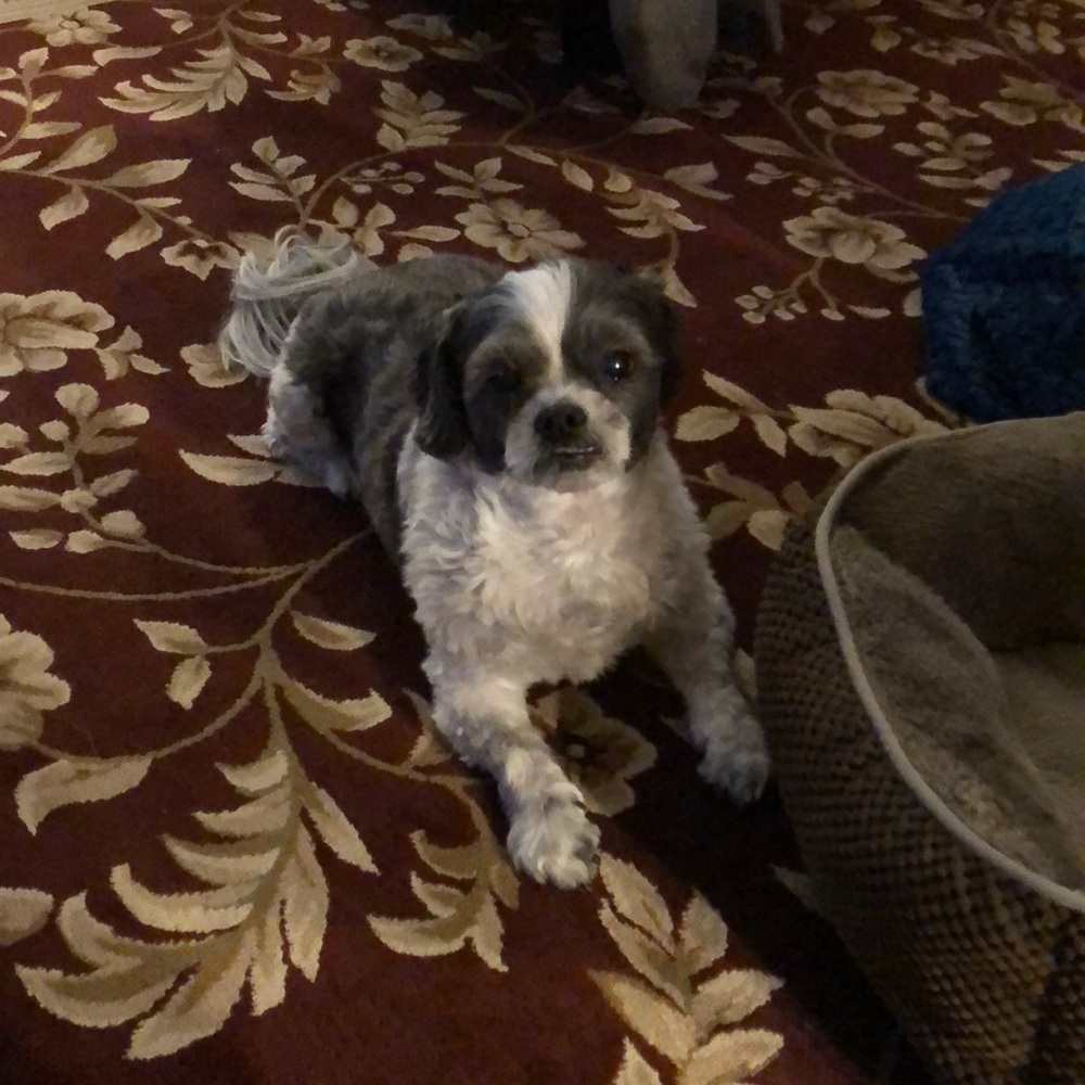 Meet your Posher, Alan